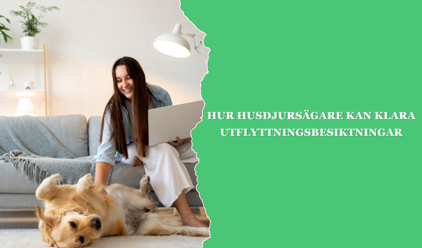 Flytt- och städfirma - Paulz Städ AB Flytt- och städfirma - Paulz Städ AB